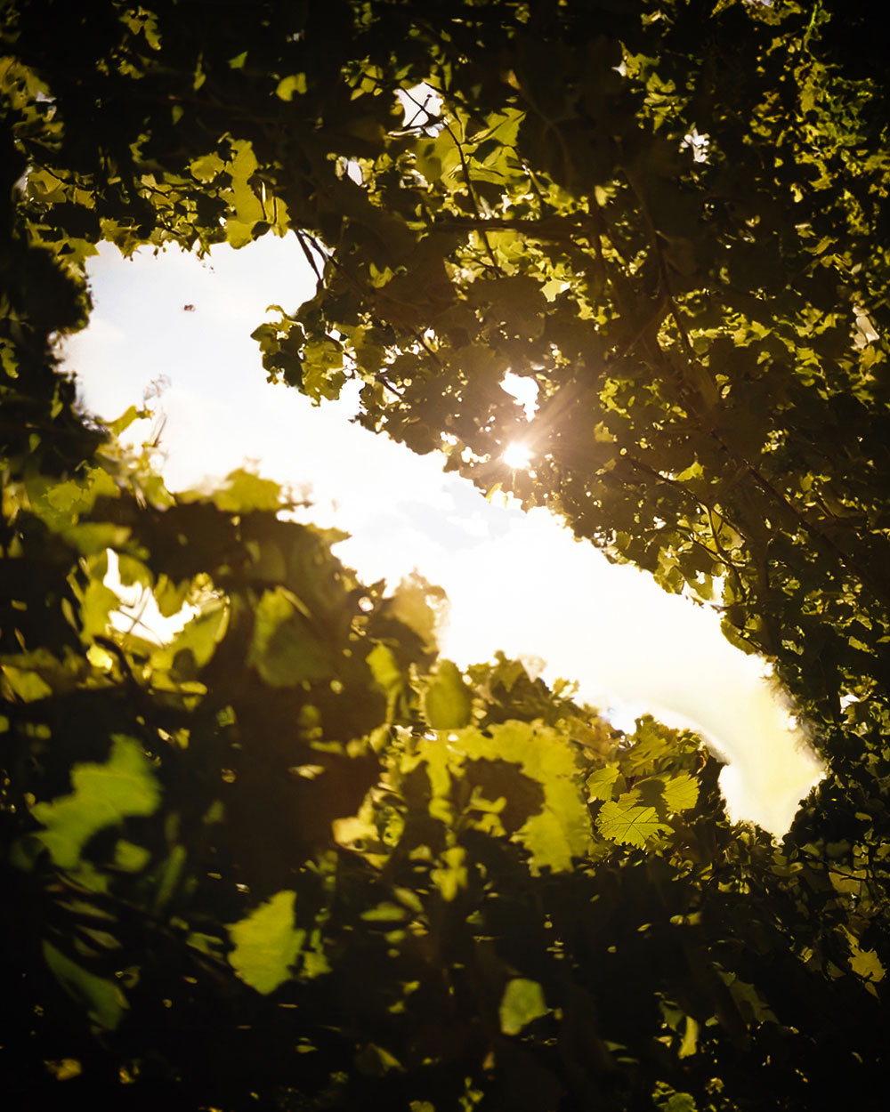 La nostra eccellenza in scena a TUTTOFOOD Milano